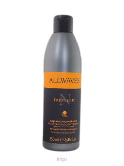 Allwaves Odżywka Do Suchych Zniszczonych 250 ml