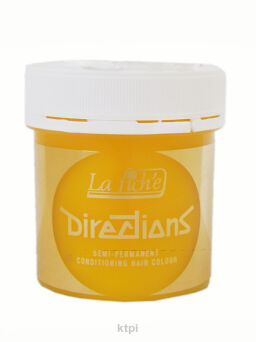 La Riche Toner Directions 88 ml