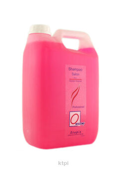 Stapiz Profesjonalny Szampon Owocowy 5l