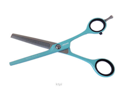 Jaguar Degażówki Pastell Plus 5 Mint