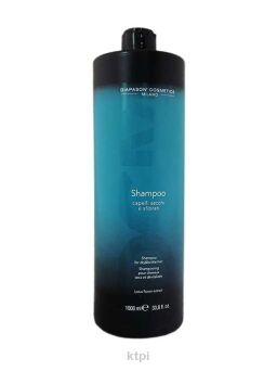 Diapason Szampon Objętość Suche i Zniszczone 1000
