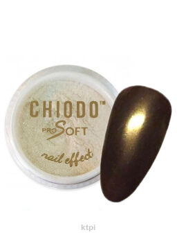 Chiodo Pro Pyłek Efekt Lustra Steel Olive 3g