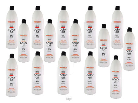 Chantal Prosalon Color Art Pakiet utleniaczy 6% x 15 sztuk  900 g